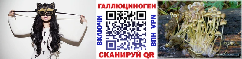 дарнет шоп  Советская Гавань  Псилоцибиновые грибы MAGIC MUSHROOMS 